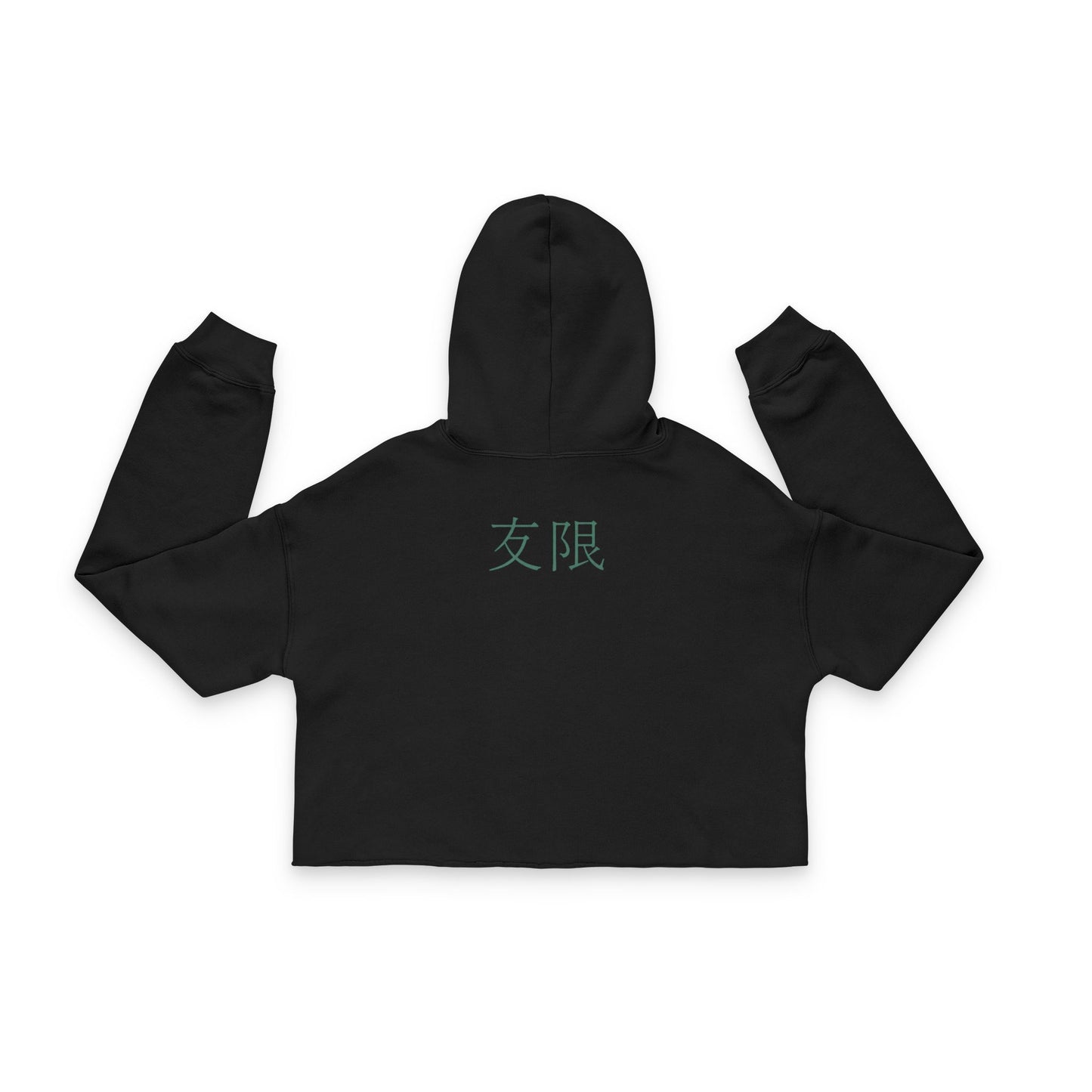 AniGame “Level Infinity” Cropped Hoodie