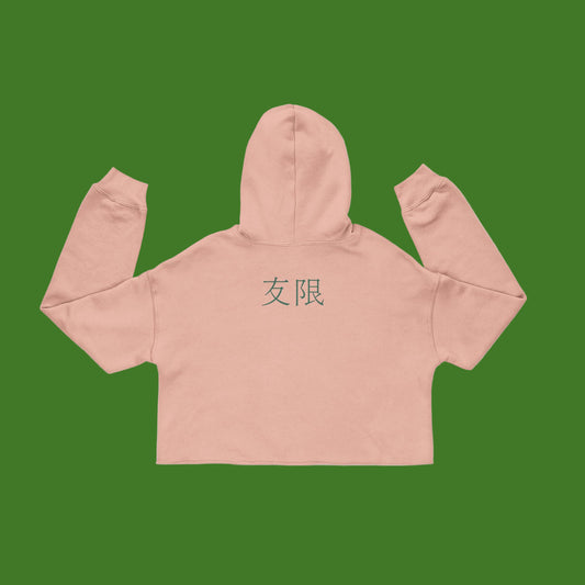 AniGame “Level Infinity” Cropped Hoodie